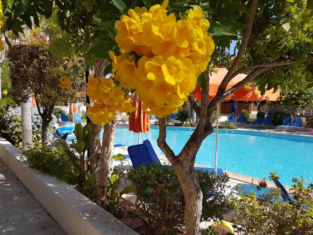 Villa Ilios In Kato Paphos Bagian luar foto